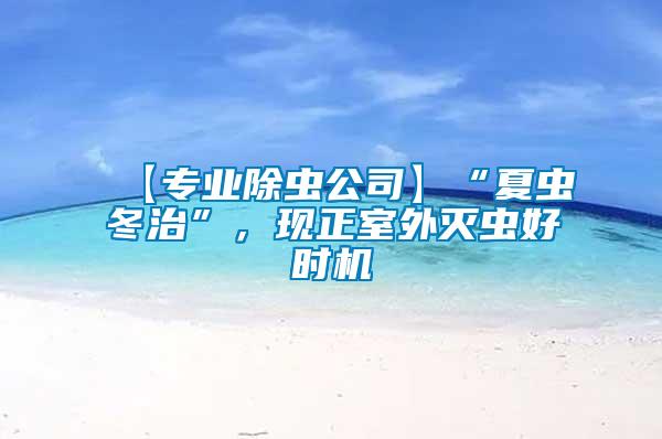 【專業除蟲公司】“夏蟲冬治”，現正室外滅蟲好時機