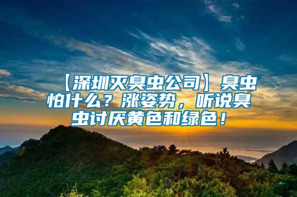 【深圳滅臭蟲公司】臭蟲怕什么？漲姿勢，聽說臭蟲討厭黃色和綠色！