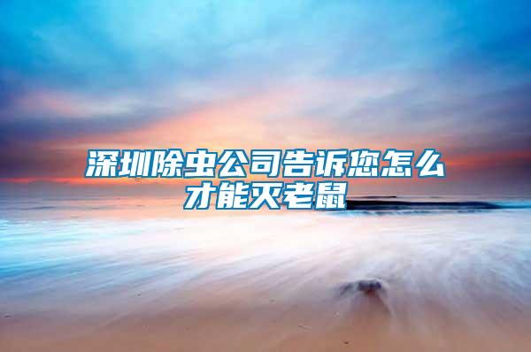 深圳除蟲公司告訴您怎么才能滅老鼠