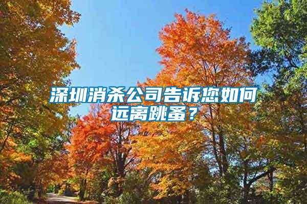 深圳消殺公司告訴您如何遠離跳蚤？