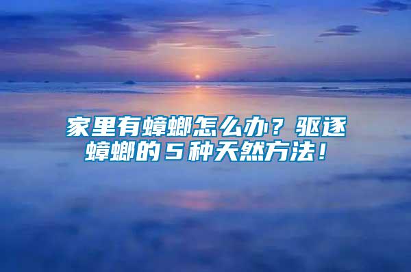 家里有蟑螂怎么辦？驅逐蟑螂的５種天然方法！