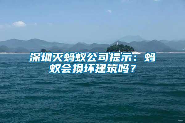 深圳滅螞蟻公司提示：螞蟻會損壞建筑嗎？