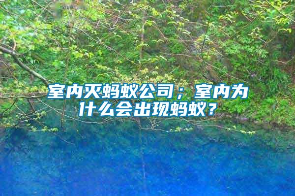 室內滅螞蟻公司；室內為什么會出現螞蟻？