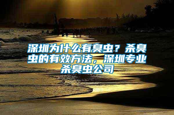 深圳為什么有臭蟲？殺臭蟲的有效方法，深圳專業殺臭蟲公司