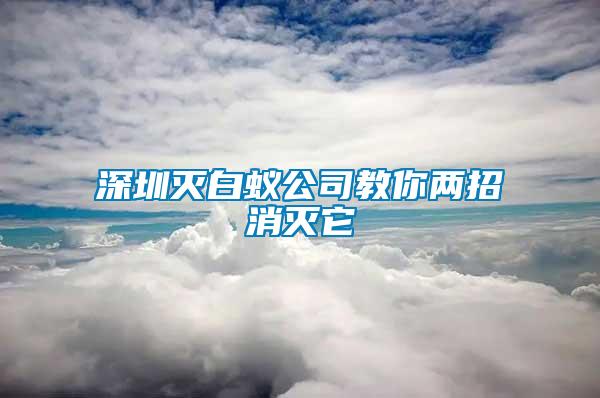 深圳滅白蟻公司教你兩招消滅它