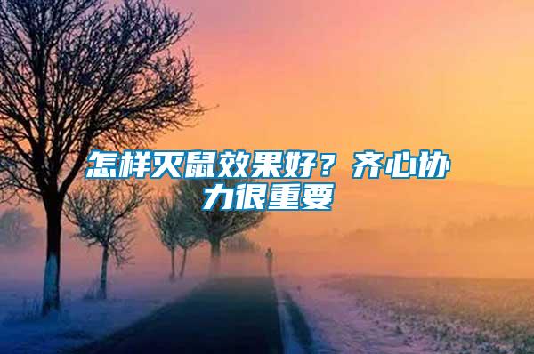 怎樣滅鼠效果好？齊心協力很重要