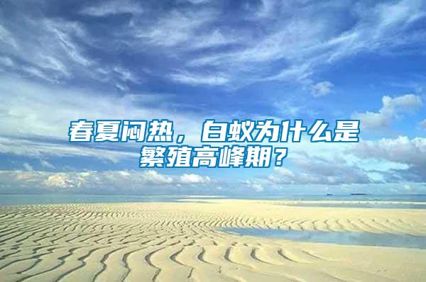 春夏悶熱，白蟻為什么是繁殖高峰期？