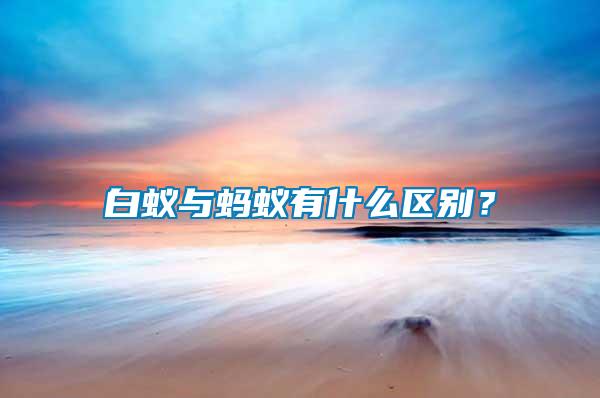 白蟻與螞蟻有什么區別？