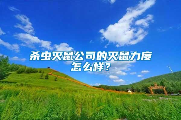 殺蟲滅鼠公司的滅鼠力度怎么樣？