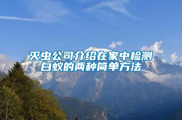 滅蟲公司介紹在家中檢測白蟻的兩種簡單方法