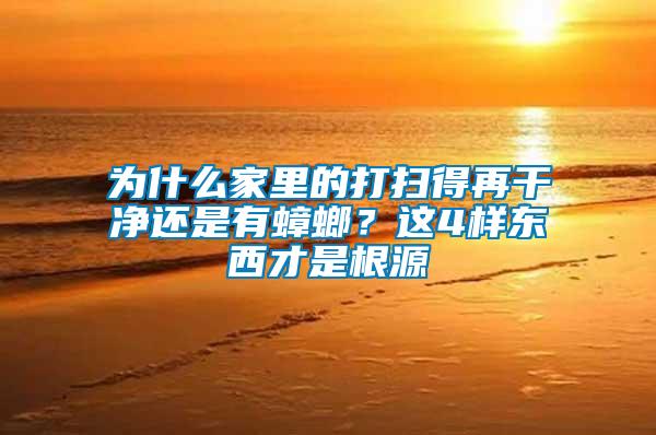 為什么家里的打掃得再干凈還是有蟑螂？這4樣東西才是根源