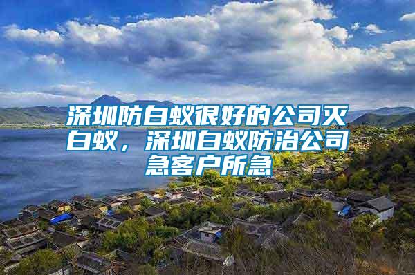 深圳防白蟻很好的公司滅白蟻，深圳白蟻防治公司急客戶所急