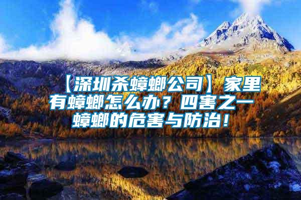 【深圳殺蟑螂公司】家里有蟑螂怎么辦？四害之一蟑螂的危害與防治！