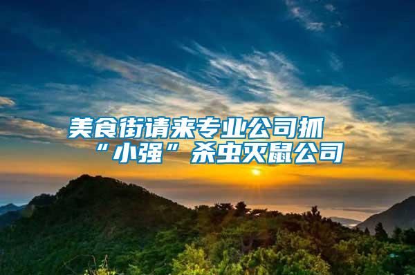 美食街請來專業公司抓“小強”殺蟲滅鼠公司