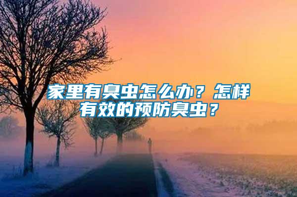 家里有臭蟲怎么辦？怎樣有效的預防臭蟲？