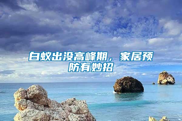 白蟻出沒高峰期，家居預防有妙招