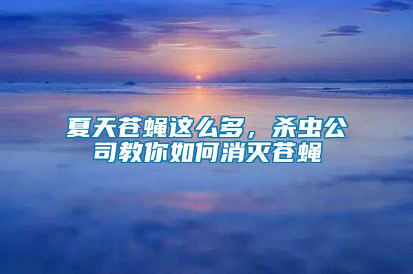 夏天蒼蠅這么多，殺蟲公司教你如何消滅蒼蠅