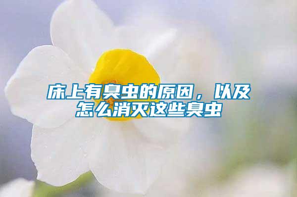 床上有臭蟲的原因，以及怎么消滅這些臭蟲