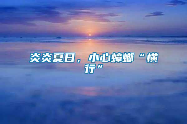 炎炎夏日，小心蟑螂“橫行”