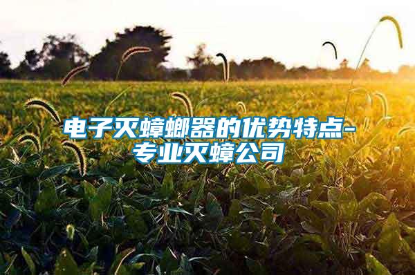 電子滅蟑螂器的優勢特點-專業滅蟑公司