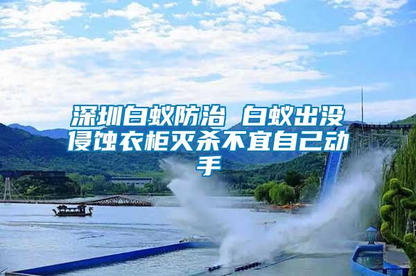 深圳白蟻防治 白蟻出沒侵蝕衣柜滅殺不宜自己動手