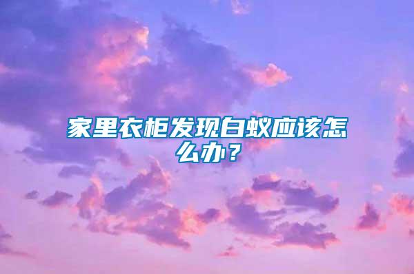 家里衣柜發現白蟻應該怎么辦？