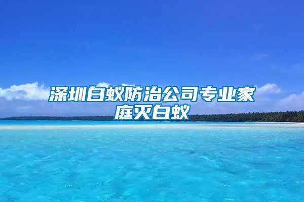 深圳白蟻防治公司專業家庭滅白蟻