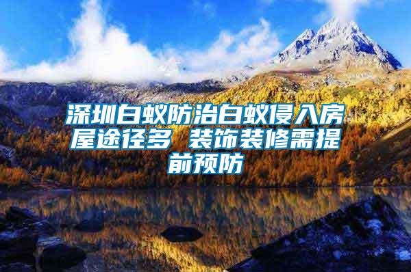 深圳白蟻防治白蟻侵入房屋途徑多 裝飾裝修需提前預防