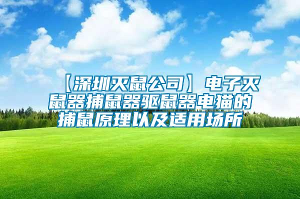 【深圳滅鼠公司】電子滅鼠器捕鼠器驅鼠器電貓的捕鼠原理以及適用場所