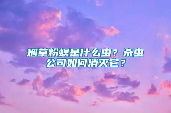 煙草粉螟是什么蟲？殺蟲公司如何消滅它？