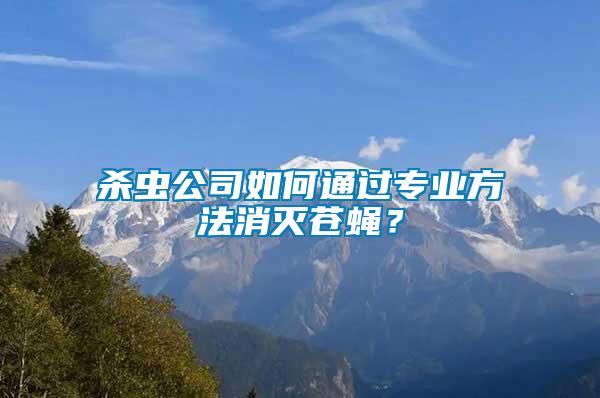 殺蟲公司如何通過專業方法消滅蒼蠅？