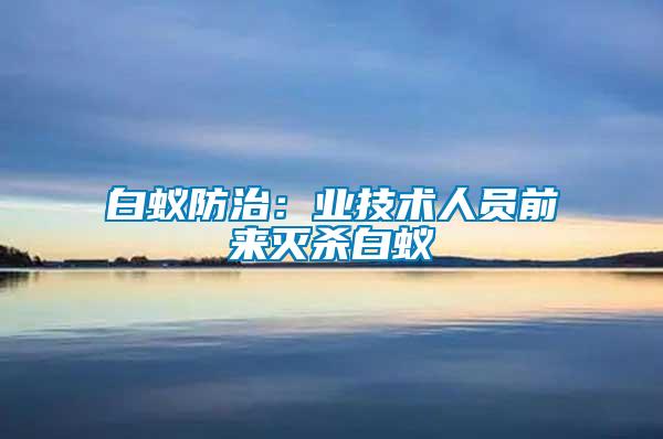 白蟻防治：業技術人員前來滅殺白蟻