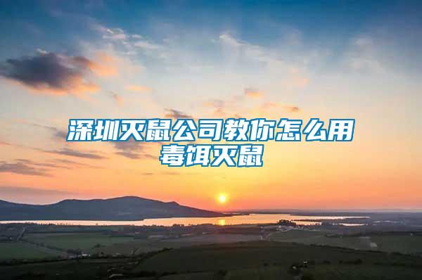 深圳滅鼠公司教你怎么用毒餌滅鼠