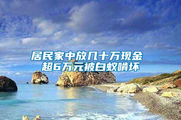 居民家中放幾十萬現金 超6萬元被白蟻啃壞