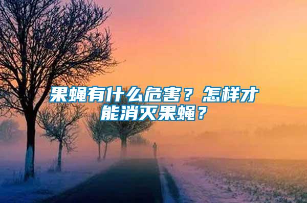 果蠅有什么危害？怎樣才能消滅果蠅？