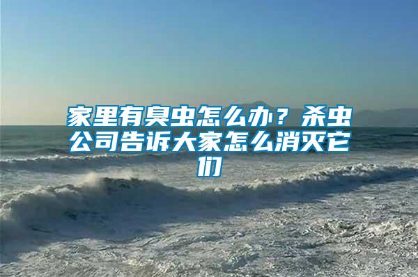 家里有臭蟲怎么辦？殺蟲公司告訴大家怎么消滅它們