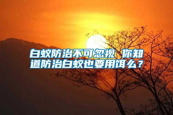 白蟻防治不可忽視 你知道防治白蟻也要用餌么？