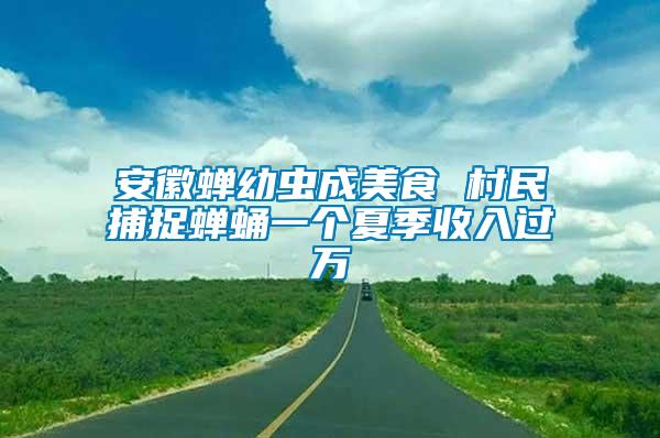 安徽蟬幼蟲成美食 村民捕捉蟬蛹一個夏季收入過萬