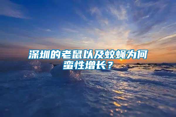 深圳的老鼠以及蚊蠅為何蠻性增長？