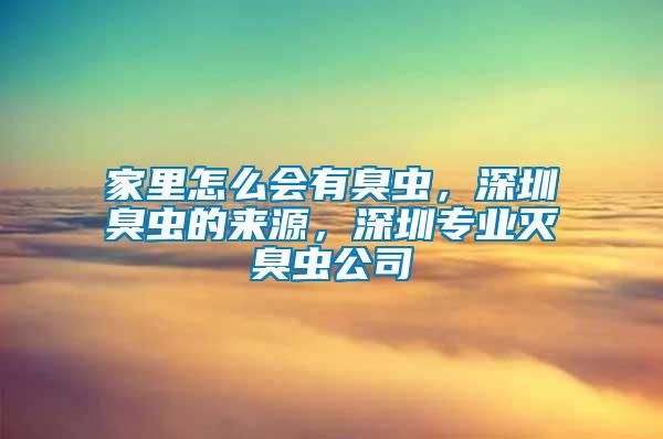 家里怎么會有臭蟲，深圳臭蟲的來源，深圳專業滅臭蟲公司