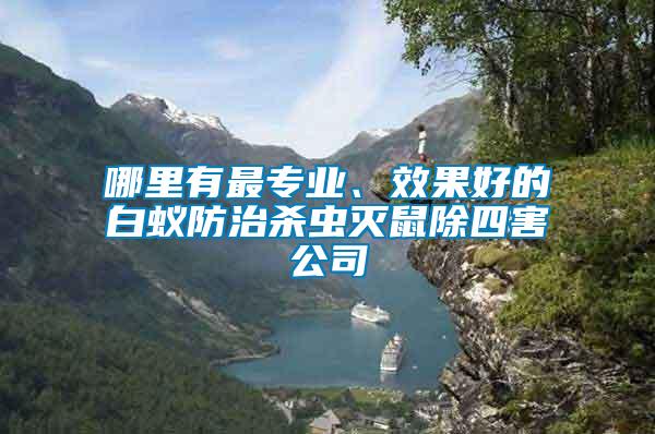 哪里有最專業、效果好的白蟻防治殺蟲滅鼠除四害公司