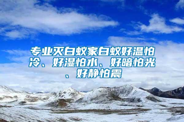 專業滅白蟻家白蟻好溫怕冷、好濕怕水、好暗怕光、好靜怕震