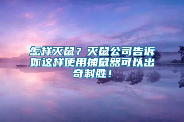 怎樣滅鼠？滅鼠公司告訴你這樣使用捕鼠器可以出奇制勝！