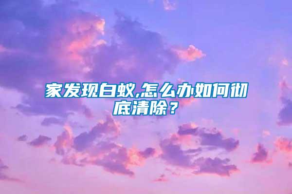 家發現白蟻,怎么辦如何徹底清除？