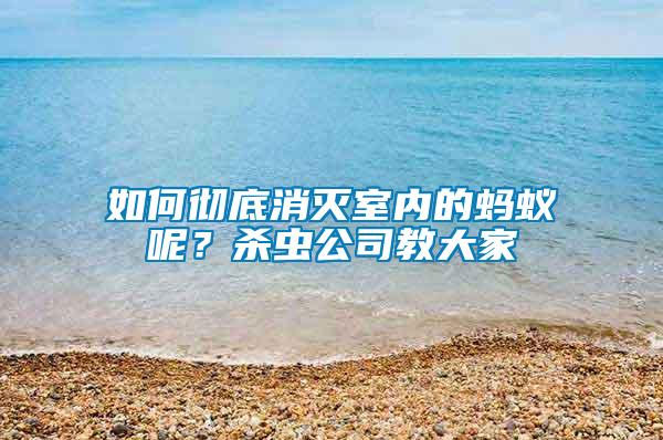 如何徹底消滅室內的螞蟻呢？殺蟲公司教大家