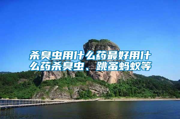 殺臭蟲用什么藥最好用什么藥殺臭蟲、跳蚤螞蟻等