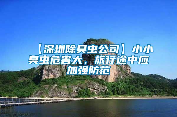 【深圳除臭蟲公司】小小臭蟲危害大，旅行途中應加強防范