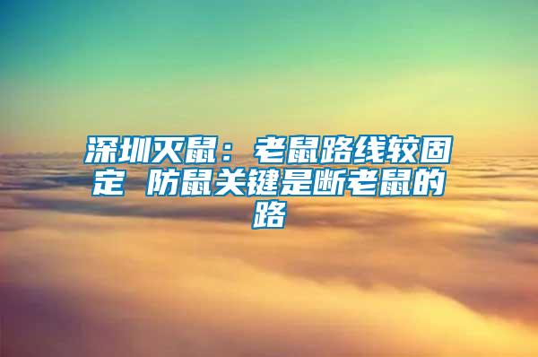 深圳滅鼠：老鼠路線較固定 防鼠關鍵是斷老鼠的路