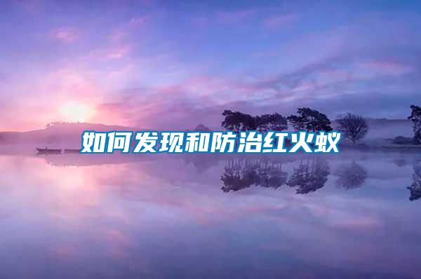 如何發現和防治紅火蟻