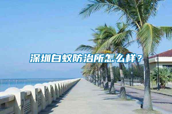 深圳白蟻防治所怎么樣？